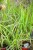 IMG_9022.jpeg
