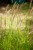 IMG_8910.jpeg