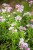 IMG_8972.jpeg