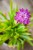IMG_8982.jpeg