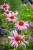 IMG_9381.jpeg