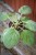 IMG_9365.jpeg
