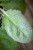 IMG_9366.jpeg