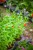 IMG_9364.jpeg