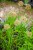 IMG_9360.jpeg