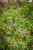 IMG_9340.jpeg