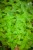IMG_9311.jpeg