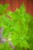 IMG_9310.jpeg