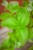 IMG_9296.jpeg