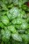 IMG_9273.jpeg