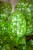 IMG_9272.jpeg