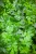 IMG_9281.jpeg