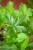 IMG_9280.jpeg