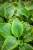IMG_9252.jpeg