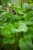 IMG_9224.jpeg