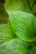 IMG_9225.jpeg