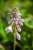 IMG_9216.jpeg