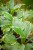 IMG_9202.jpeg