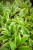 IMG_9191.jpeg