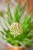 IMG_8897.jpeg