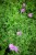 IMG_9391.jpeg