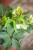 IMG_8924.jpeg