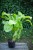 IMG_8018.jpeg