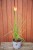 IMG_8938.jpeg
