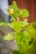 IMG_9646.jpeg