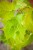 IMG_9648.jpeg
