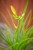 IMG_9602.jpeg