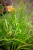 IMG_9605.jpeg