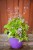 IMG_9634.jpeg
