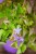 IMG_9635.jpeg