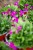 IMG_9613.jpeg