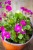 IMG_9612.jpeg