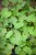 IMG_9595.jpeg