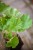 IMG_9592.jpeg