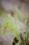 IMG_9597.jpeg