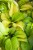 IMG_8010.jpeg