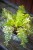 IMG_9828.jpeg