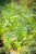 IMG_9829.jpeg