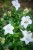 IMG_9847.jpeg