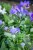 IMG_9844.jpeg