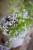 IMG_9858.jpeg