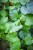 IMG_9835.jpeg
