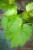 IMG_9834.jpeg