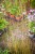 IMG_9886.jpeg