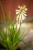 IMG_9878.jpeg