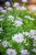 IMG_9832.jpeg